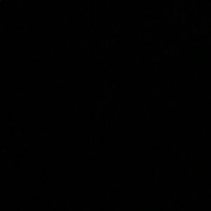 Meet your Posher, Trevor